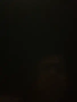 Likewise online show from December 2024 01:54:02 PM