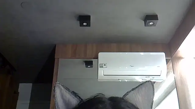 Skinny-Kitten online show from October 2025 01:39:01 AM