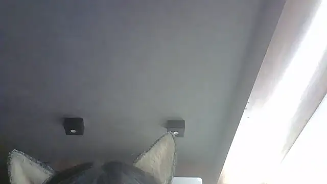 Skinny-Kitten online show from January 2026 07:23:01 AM