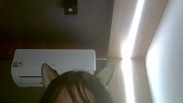 Skinny-Kitten online show from February 2026 01:34:01 AM