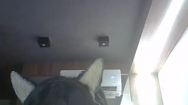 Skinny-Kitten online show from March 2026 12:10:02 PM