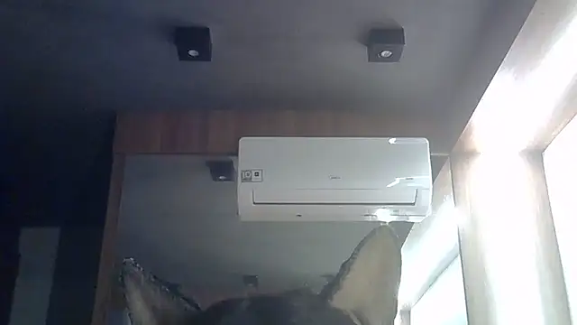 Skinny-Kitten online show from June 2026 01:39:02 PM