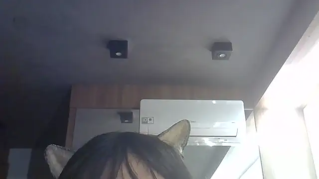 Skinny-Kitten online show from July 2026 06:47:02 AM