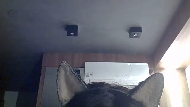Skinny-Kitten online show from July 2026 07:43:01 AM