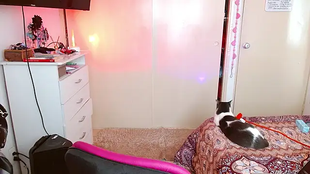 alisseallie online show from March 2026 02:31:02 PM