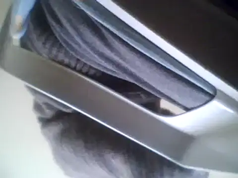 Snapshot of bestofyalcinturkey chatting on March 2025 08:38:02 AM bestofyalcinturkey online show from March 2025 08:38:02 AM