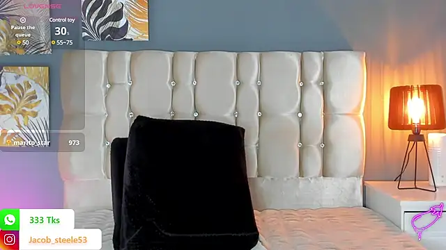 Snapshot of Jacob_Steele53 chatting on February 2025 12:06:02 AM Jacob Steele53 online show from February 2025 12:06:02 AM