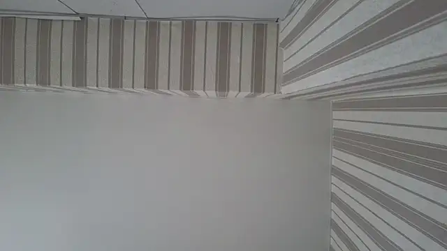 Snapshot of lily__foster chatting on September 2025 05:42:01 AM lily foster online show from September 2025 05:42:01 AM