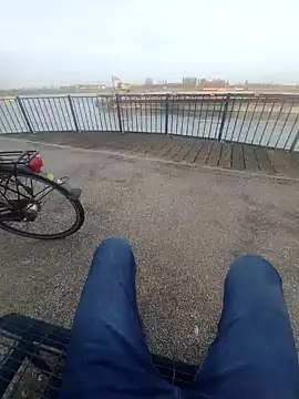 jk1981jk online show from March 2025 03:46:02 PM