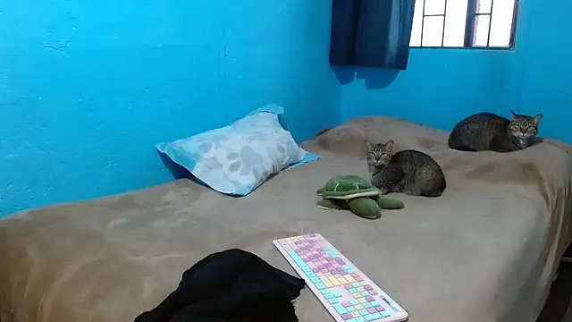 clarisse69 online show from March 2025 05:10:02 PM