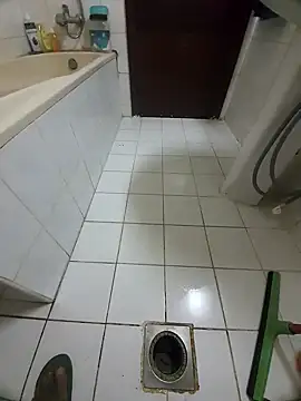 Snapshot of dream_catcher chatting on January 2025 05:39:02 PM dream catcher online show from January 2025 05:39:02 PM