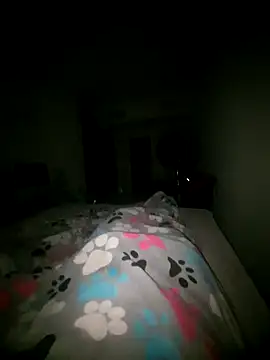 Snapshot of dream_catcher chatting on February 2025 03:01:02 AM dream catcher online show from February 2025 03:01:02 AM