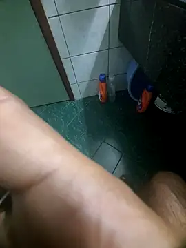 Snapshot of dream_catcher chatting on March 2025 05:43:02 AM dream catcher online show from March 2025 05:43:02 AM