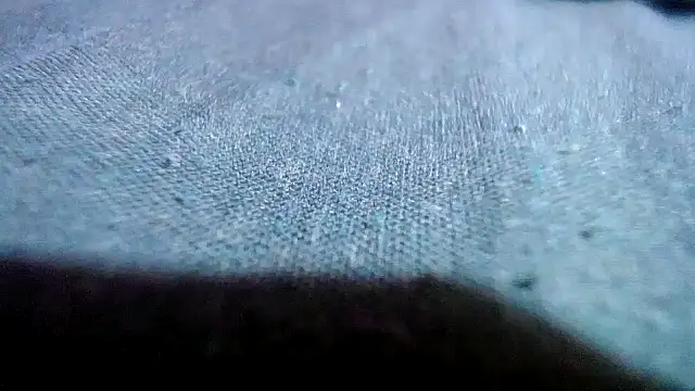 Lelety79 online show from April 2026 08:57:01 PM