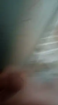 Sexis26 online show from March 2025 08:43:01 PM