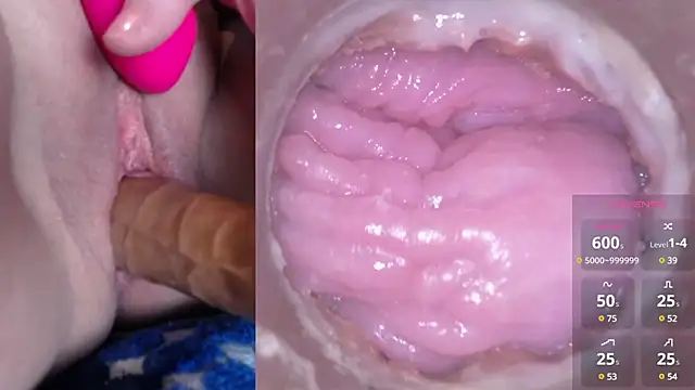 danigirl866 online show from December 2024 05:59:02 PM