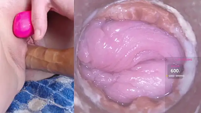 danigirl866 online show from February 2025 09:41:02 PM