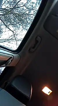 Snapshot of ichgross chatting on February 2025 04:18:02 PM ichgross online show from February 2025 04:18:02 PM