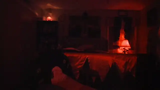 Snapshot of RoosterWabbit chatting on March 2025 03:45:01 AM RoosterWabbit online show from March 2025 03:45:01 AM