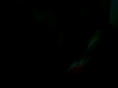 Yardie bone online show from March 2025 03:53:01 PM