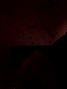 Snapshot of The_wickles_4443 chatting on November 2025 11:04:02 PM The wickles 4443 online show from November 2025 11:04:02 PM