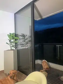 Snapshot of Helenbronwx chatting on December 2024 11:09:01 PM Helenbronwx online show from December 2024 11:09:01 PM