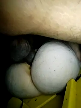 Bigcockmexi13 online show from March 2026 03:05:01 PM