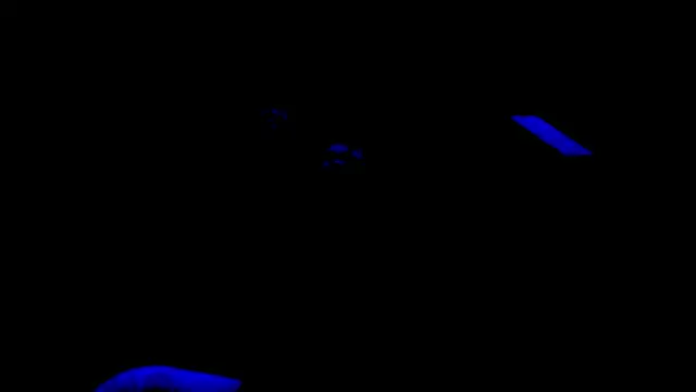 Snapshot of nzanizy chatting on January 2025 06:57:02 PM nzanizy online show from January 2025 06:57:02 PM