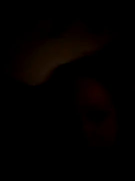 Cumslutsnowbunnie69 online show from December 2025 07:16:02 AM