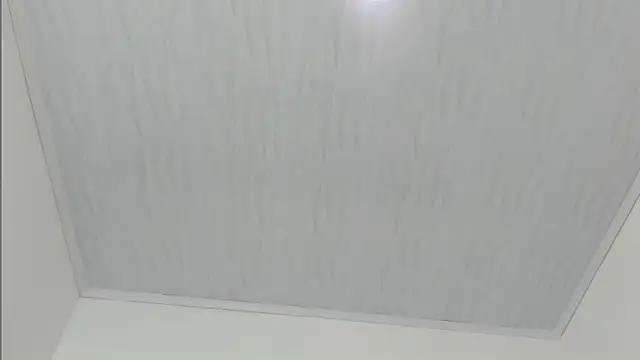 Snapshot of merlyna_goldens chatting on November 2025 11:31:02 AM merlyna goldens online show from November 2025 11:31:02 AM