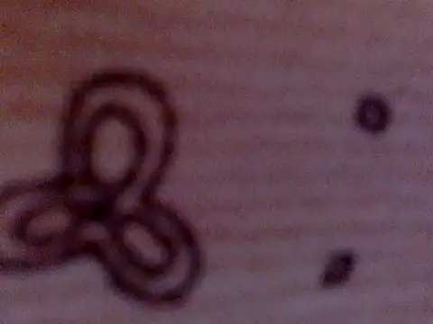 soniasharma0223 online show from February 2025 05:47:01 AM