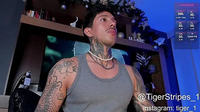 TigerStripes1  online show from January 2025 04:44:01 AM