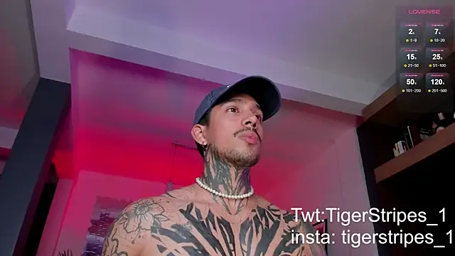 TigerStripes1  online show from March 2025 11:46:01 PM