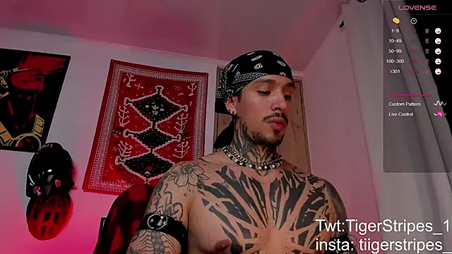 TigerStripes1  online show from March 2026 06:28:02 AM