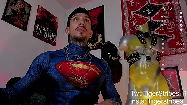 TigerStripes1  online show from March 2026 08:41:02 AM