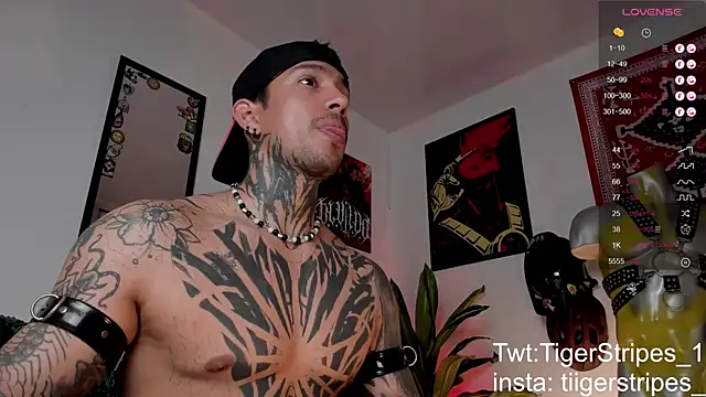 TigerStripes1  online show from March 2026 02:55:01 PM