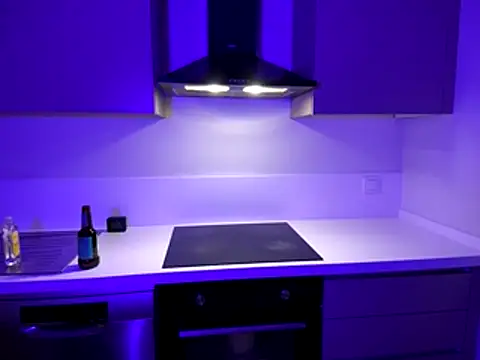 egeyugioh online show from December 2025 04:38:01 PM