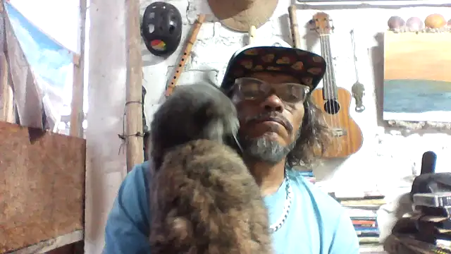 kvr27 online show from April 2026 11:33:01 AM