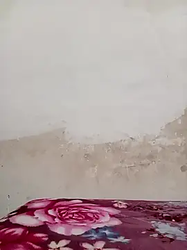 Snapshot of 09punjabi chatting on December 2024 11:07:02 AM 09punjabi online show from December 2024 11:07:02 AM