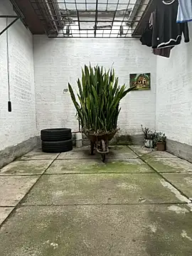 Snapshot of oliver_price1 chatting on November 2025 09:14:02 PM oliver price1 online show from November 2025 09:14:02 PM