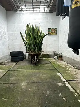 Snapshot of oliver_price1 chatting on November 2025 08:03:01 PM oliver price1 online show from November 2025 08:03:01 PM